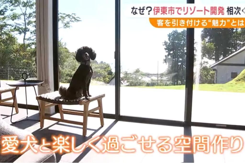 Doggo伊豆　愛犬と過ごす最高の時間の為に造られた貸切宿。温泉、プライベートドッグランで最高の一時を。 Villa Ito  Exterior foto